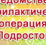 Межведомственная профилактическая операция «Подросток». - Аксубаевский район