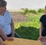 Социально-педагогическое консультирование родителей в социальном приюте «Мечта» - Аксубаевский район