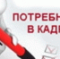 О проведении опроса работодателей о перспективной потребности в профессиональных кадрах (с 1 апреля по 15 июня 2025 года). - Аксубаевский район