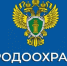 Казанская  межрайонная природоохранная прокуратура информирует - Аксубаевский район
