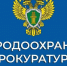 Казанская межрайонная природоохранная прокуратура провела проверку исполнения природоохранного законодательства. - Аксубаевский район