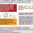 Осторожно Ротовирусная инфекция! - Аксубаевский район